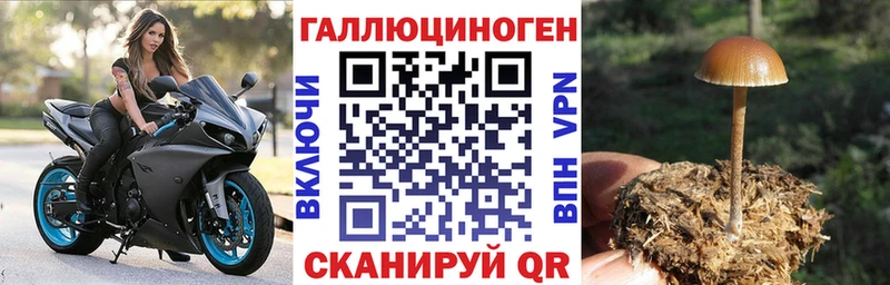 Псилоцибиновые грибы GOLDEN TEACHER Канаш